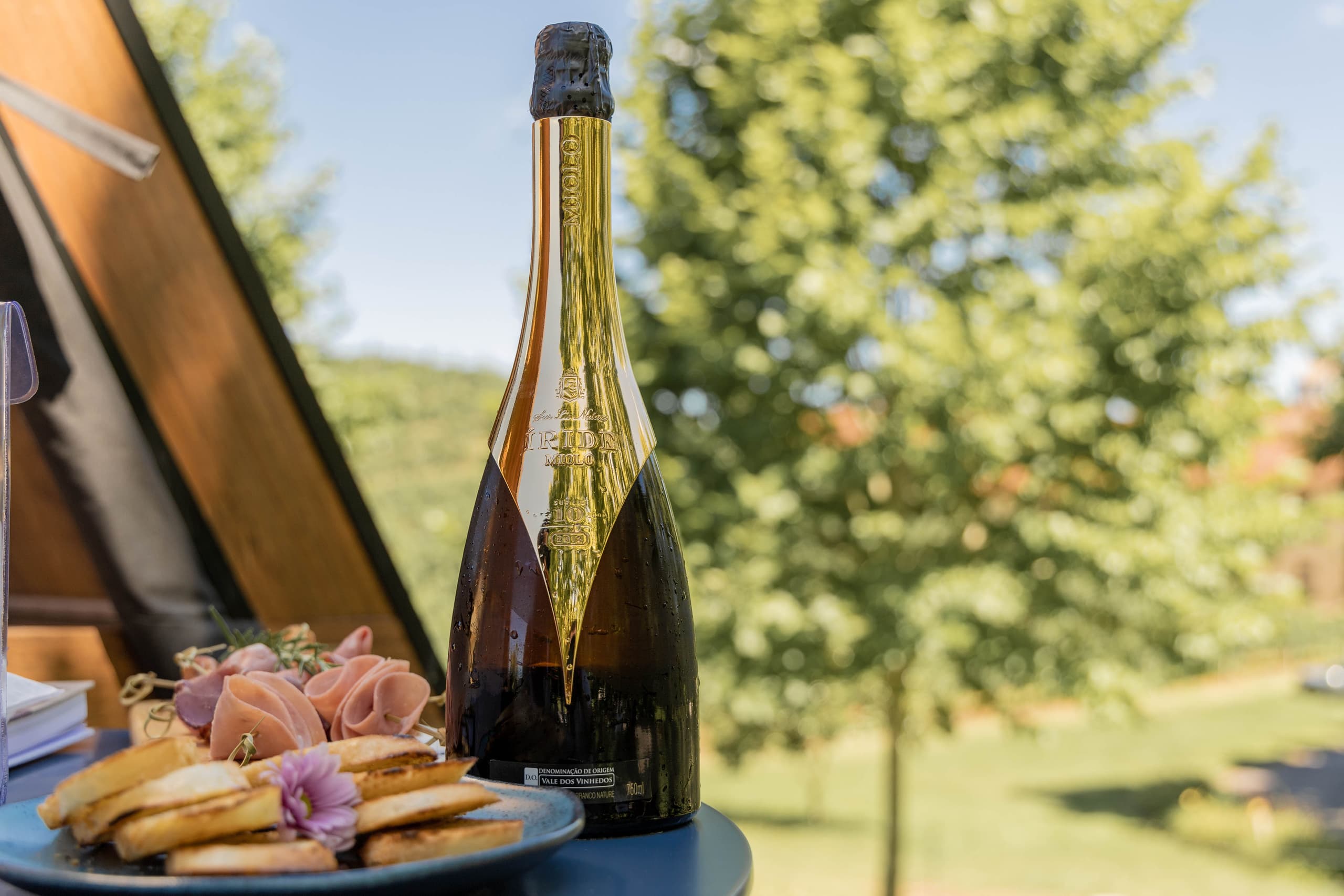 IMG_9898Exp. Cabanas.jpg