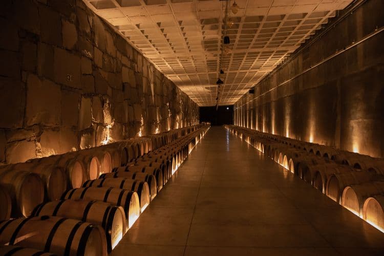 wine experience valduga (7).jpg